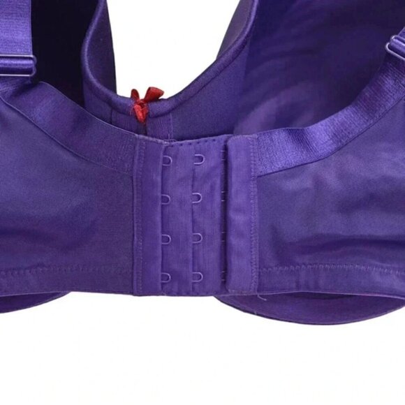 Deesse Purple Red Bra Lace Satin Underwire Size 40DDD - Picture 4 of 7